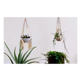 Tear Drop Planter